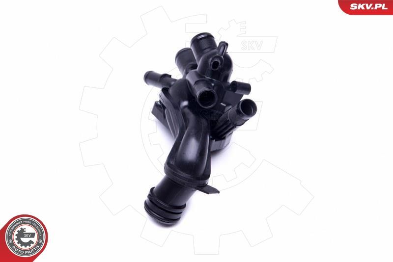 Termostatas, aušinimo skystis ESEN SKV 20SKV100