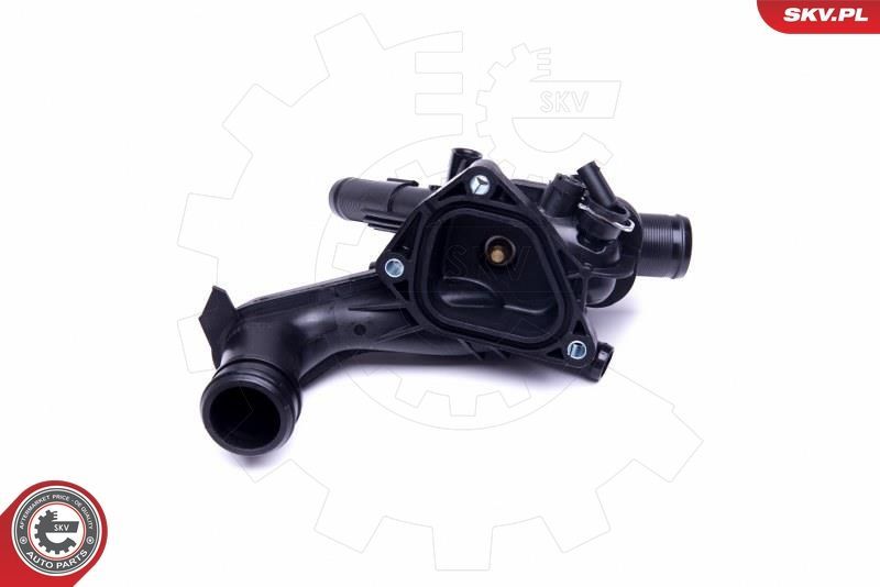 Termostatas, aušinimo skystis ESEN SKV 20SKV100