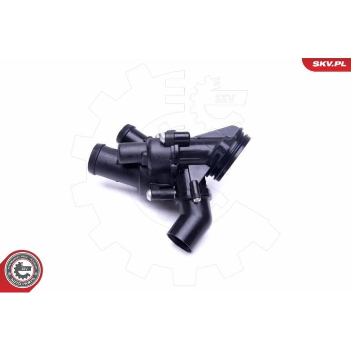 Termostatas, aušinimo skystis ESEN SKV 20SKV103