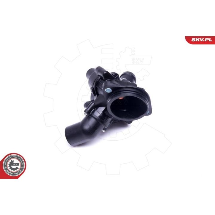 Termostatas, aušinimo skystis ESEN SKV 20SKV103