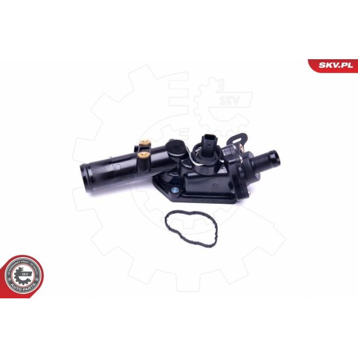 Termostatas, aušinimo skystis ESEN SKV 20SKV109