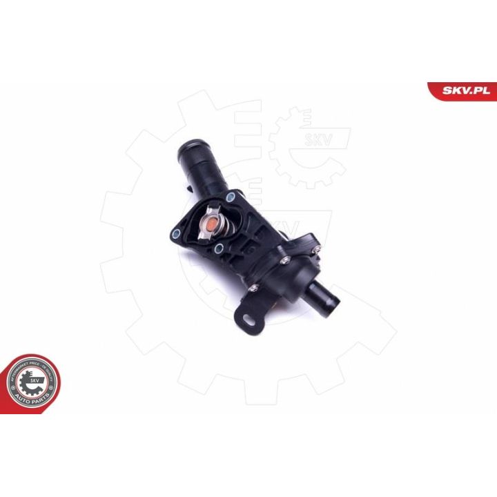 Termostatas, aušinimo skystis ESEN SKV 20SKV109