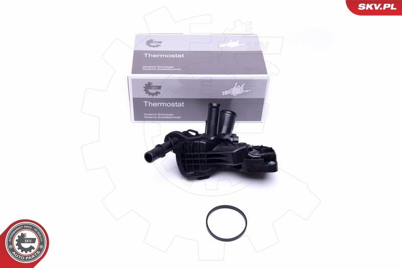 Termostatas, aušinimo skystis ESEN SKV 20SKV111