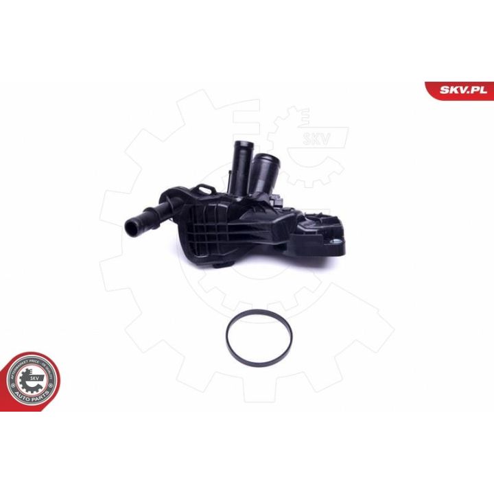 Termostatas, aušinimo skystis ESEN SKV 20SKV111