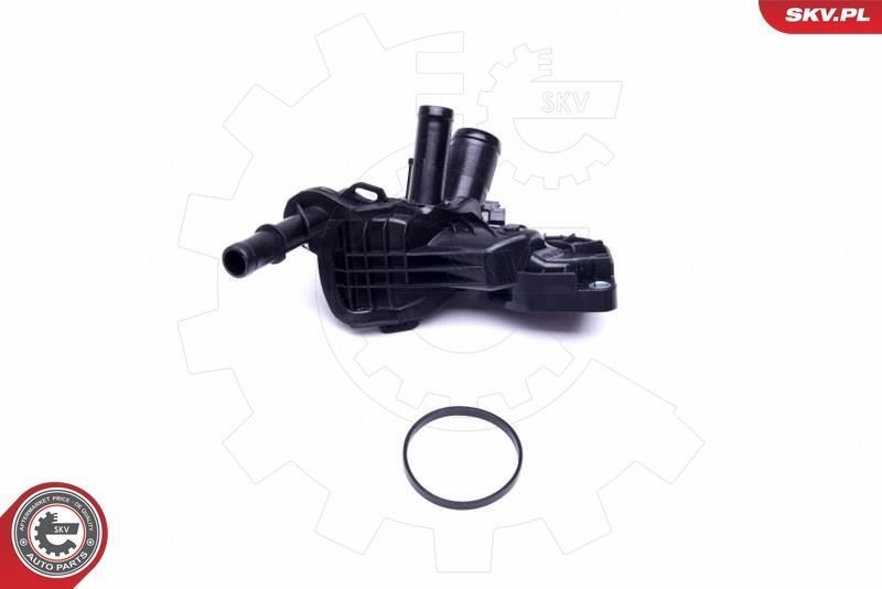 Termostatas, aušinimo skystis ESEN SKV 20SKV111