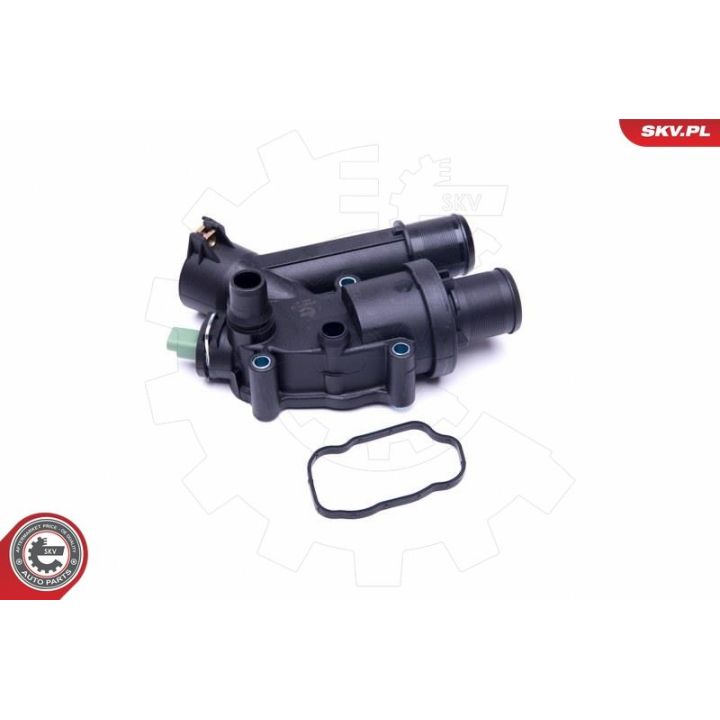 Termostatas, aušinimo skystis ESEN SKV 20SKV118