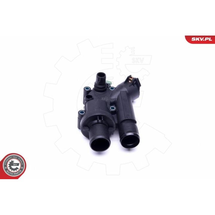 Termostatas, aušinimo skystis ESEN SKV 20SKV118