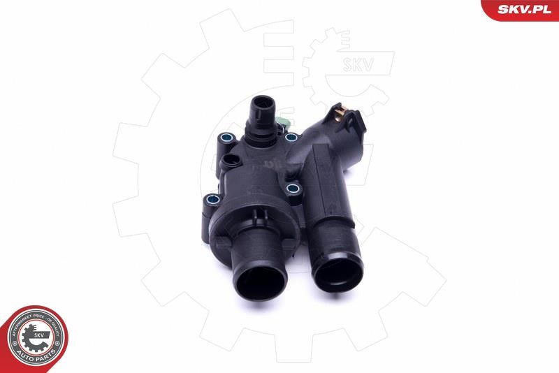 Termostatas, aušinimo skystis ESEN SKV 20SKV118