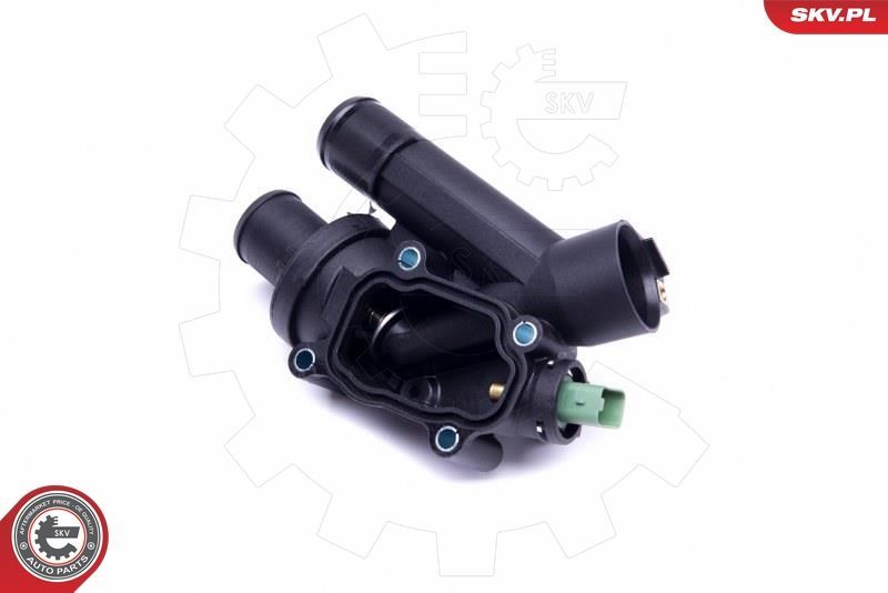 Termostatas, aušinimo skystis ESEN SKV 20SKV118