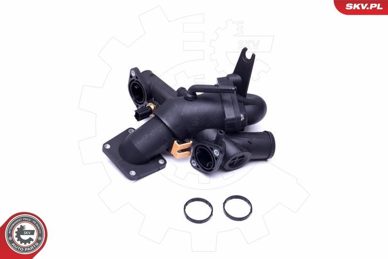 Termostatas, aušinimo skystis ESEN SKV 20SKV123