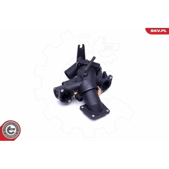 Termostatas, aušinimo skystis ESEN SKV 20SKV123