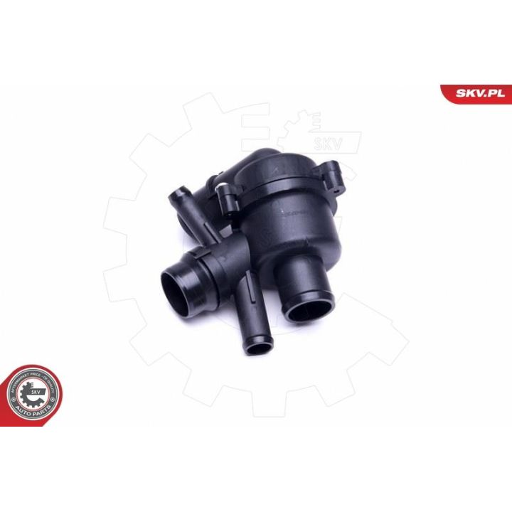 Termostatas, aušinimo skystis ESEN SKV 20SKV126