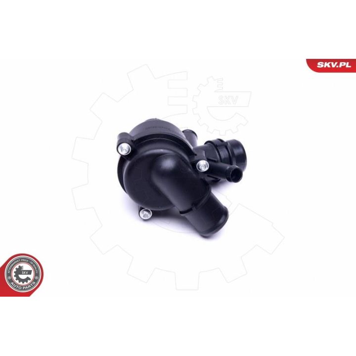 Termostatas, aušinimo skystis ESEN SKV 20SKV126