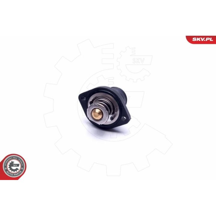 Termostatas, aušinimo skystis ESEN SKV 20SKV129