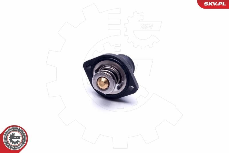 Termostatas, aušinimo skystis ESEN SKV 20SKV129