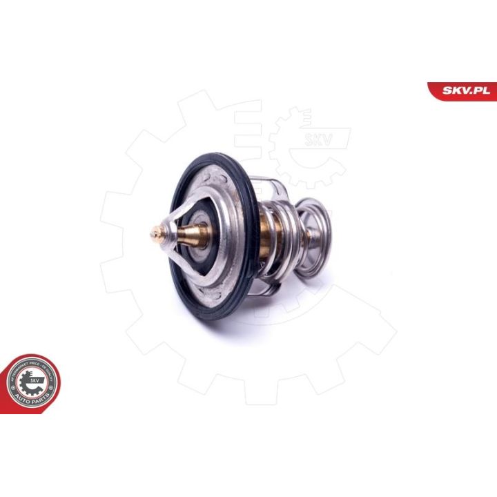 Termostatas, aušinimo skystis ESEN SKV 20SKV131