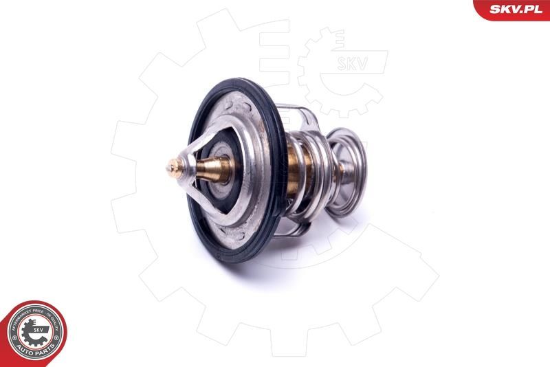 Termostatas, aušinimo skystis ESEN SKV 20SKV131