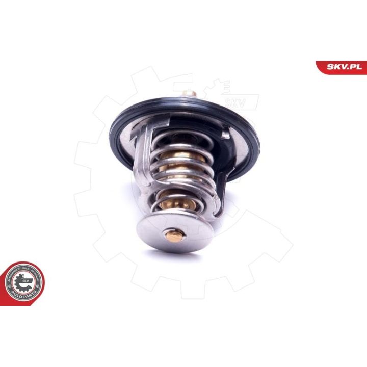 Termostatas, aušinimo skystis ESEN SKV 20SKV131