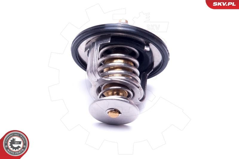 Termostatas, aušinimo skystis ESEN SKV 20SKV131