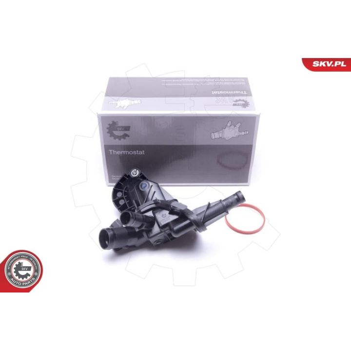 Termostatas, aušinimo skystis ESEN SKV 20SKV137