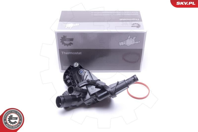 Termostatas, aušinimo skystis ESEN SKV 20SKV137