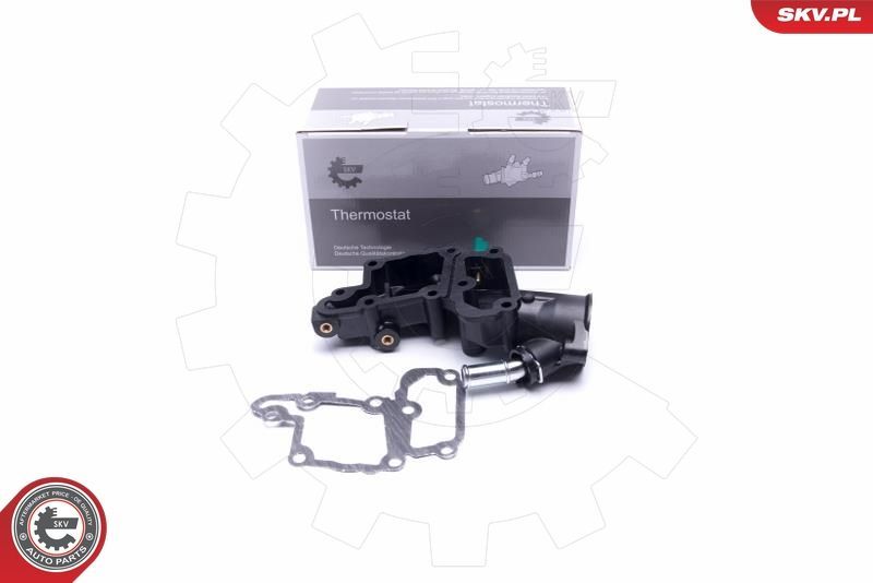 Termostatas, aušinimo skystis ESEN SKV 20SKV140