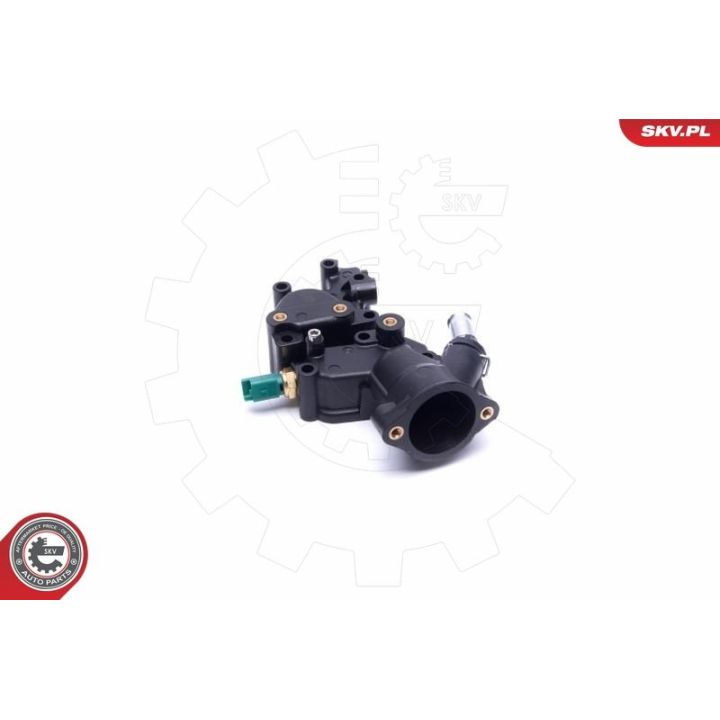 Termostatas, aušinimo skystis ESEN SKV 20SKV140