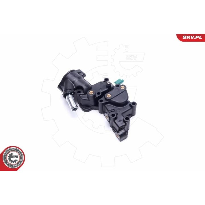 Termostatas, aušinimo skystis ESEN SKV 20SKV140