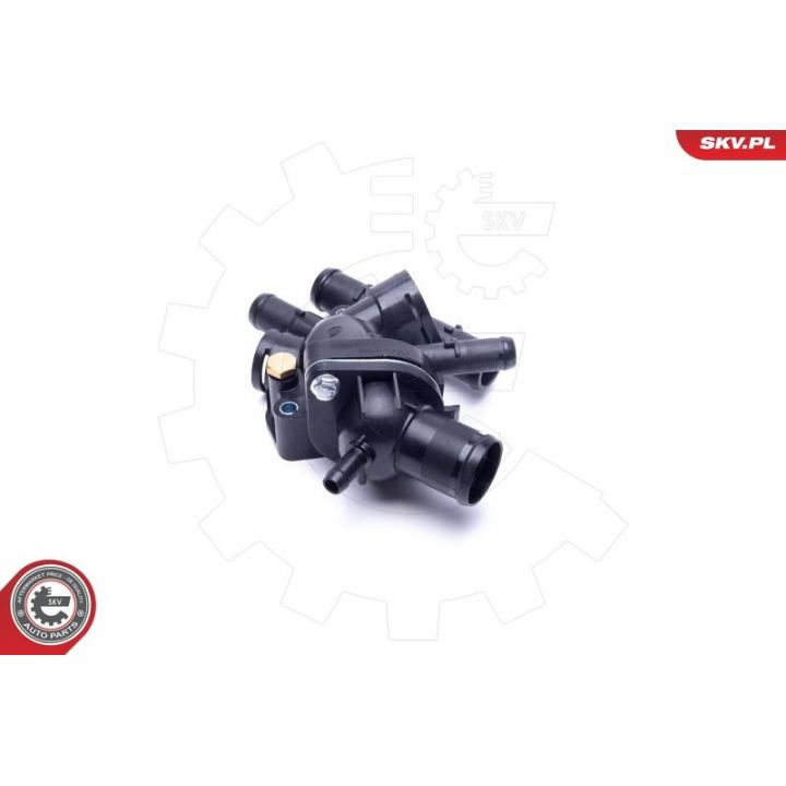 Termostatas, aušinimo skystis ESEN SKV 20SKV142