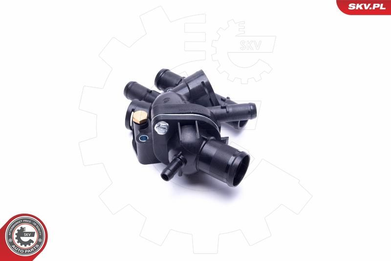 Termostatas, aušinimo skystis ESEN SKV 20SKV142