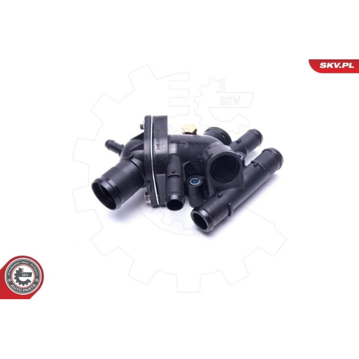 Termostatas, aušinimo skystis ESEN SKV 20SKV142