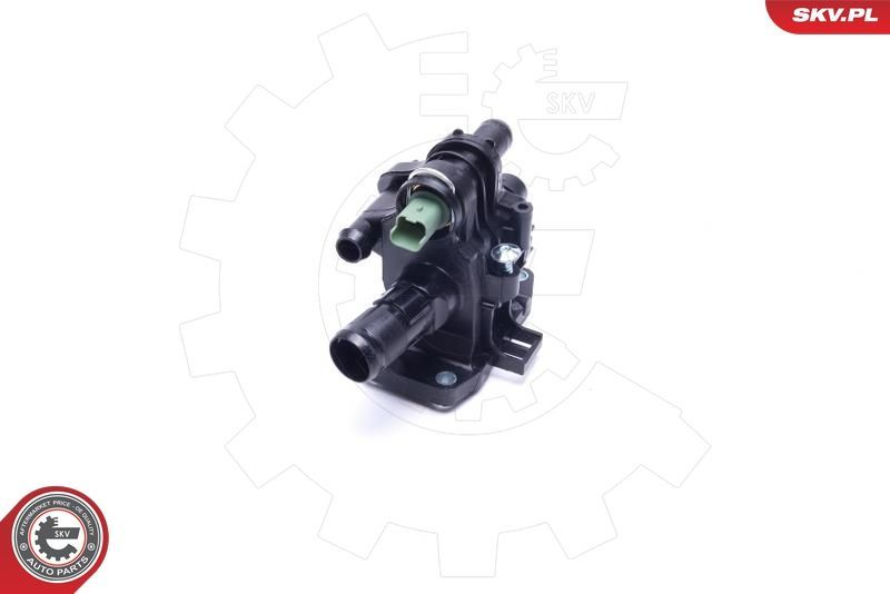 Termostatas, aušinimo skystis ESEN SKV 20SKV151