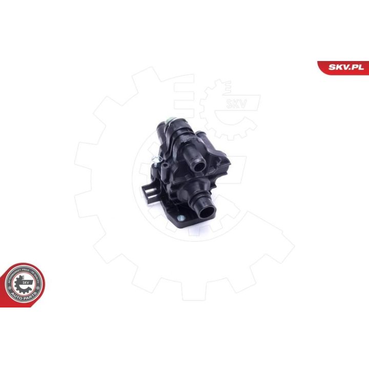 Termostatas, aušinimo skystis ESEN SKV 20SKV151