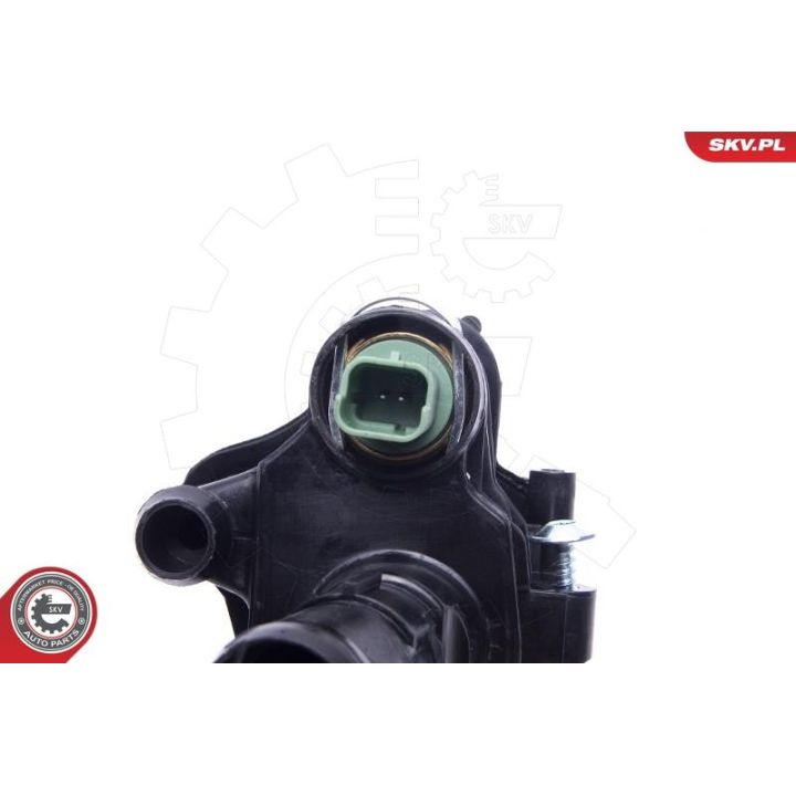 Termostatas, aušinimo skystis ESEN SKV 20SKV151