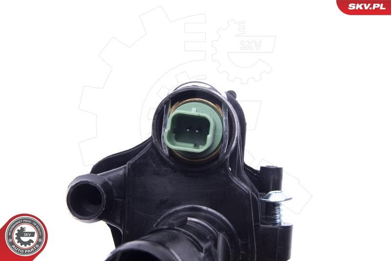 Termostatas, aušinimo skystis ESEN SKV 20SKV151