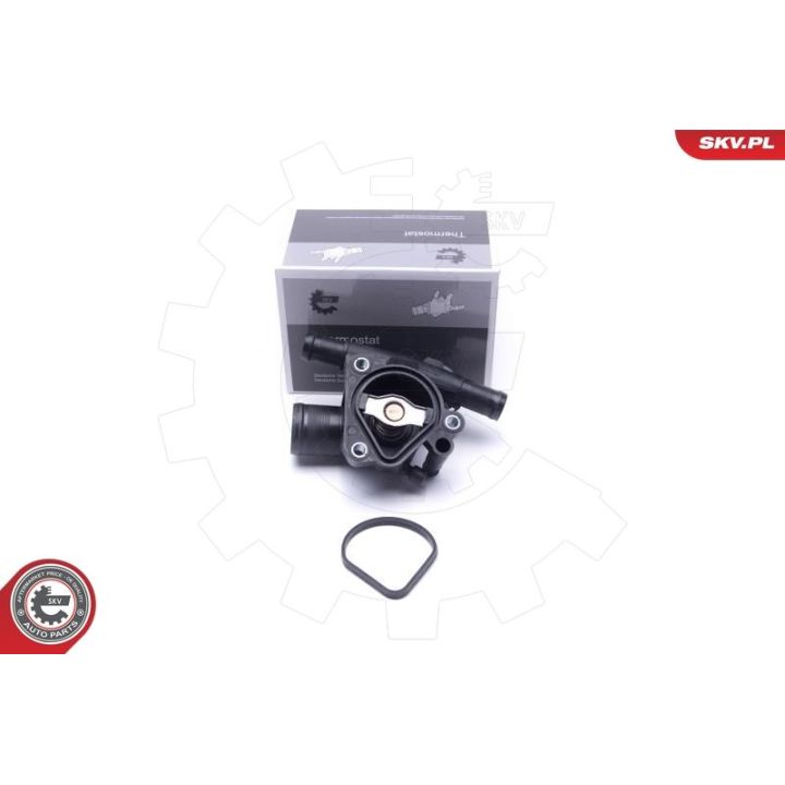 Termostatas, aušinimo skystis ESEN SKV 20SKV152