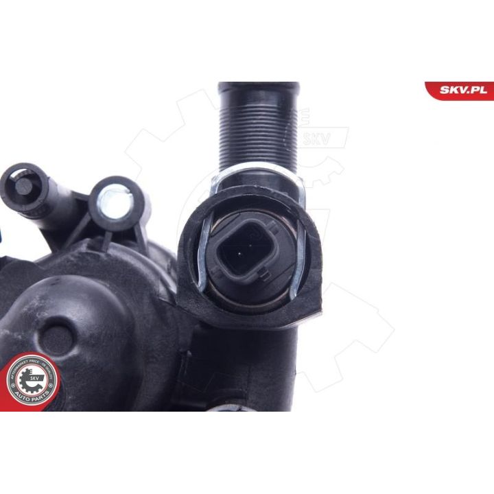 Termostatas, aušinimo skystis ESEN SKV 20SKV152