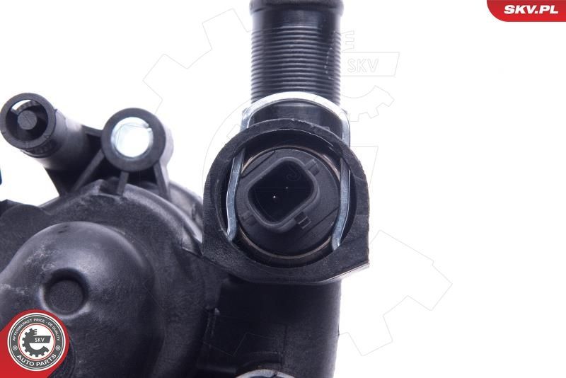 Termostatas, aušinimo skystis ESEN SKV 20SKV152