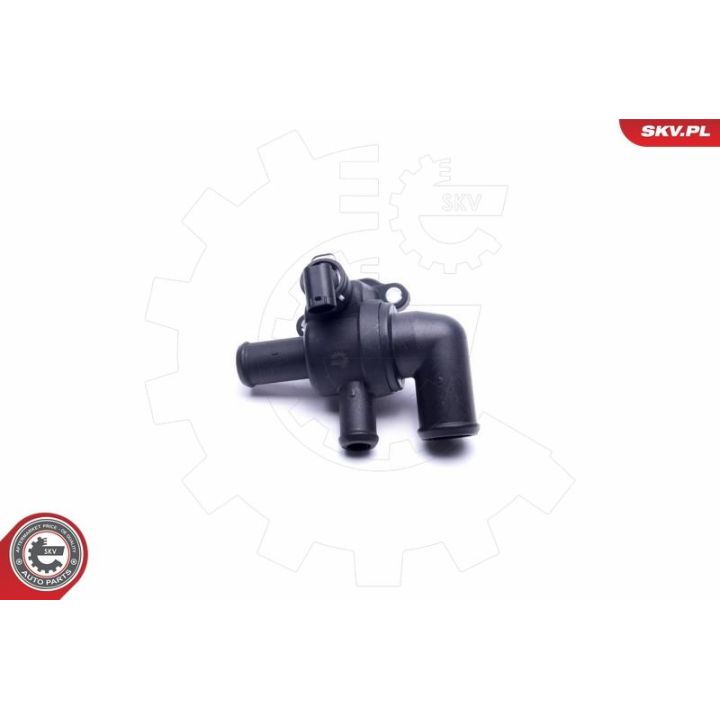 Termostatas, aušinimo skystis ESEN SKV 20SKV159