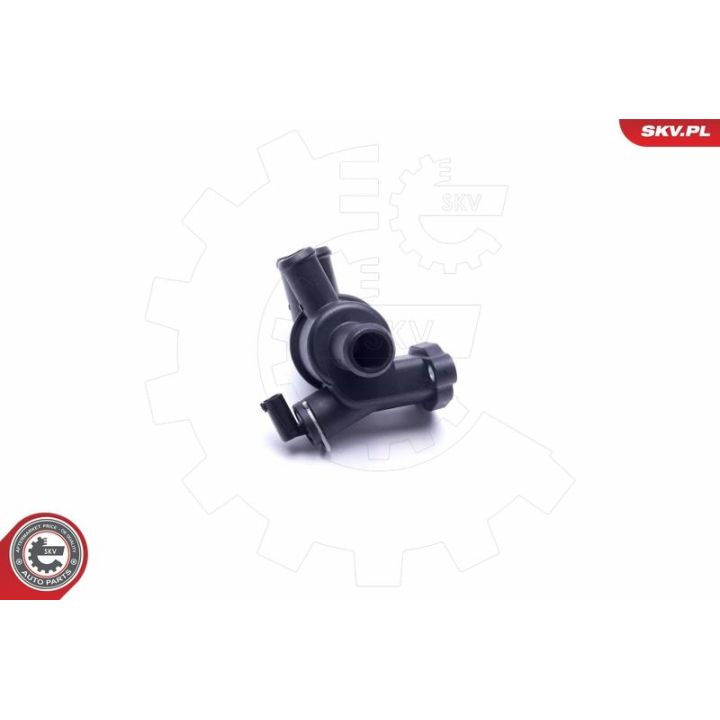 Termostatas, aušinimo skystis ESEN SKV 20SKV159