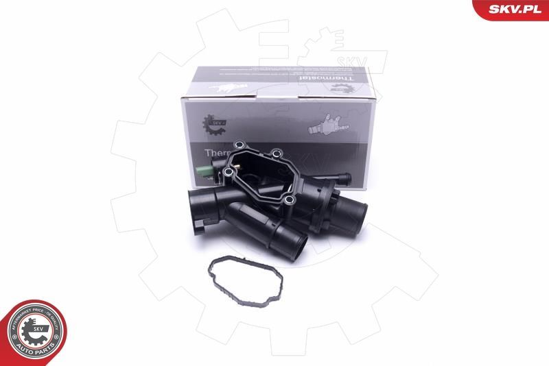 Termostatas, aušinimo skystis ESEN SKV 20SKV160