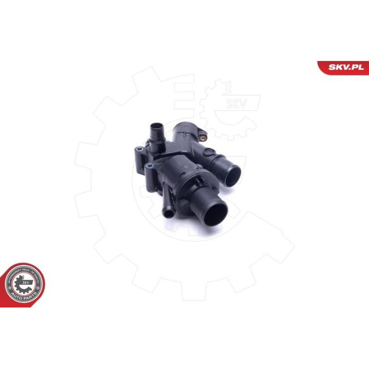 Termostatas, aušinimo skystis ESEN SKV 20SKV160