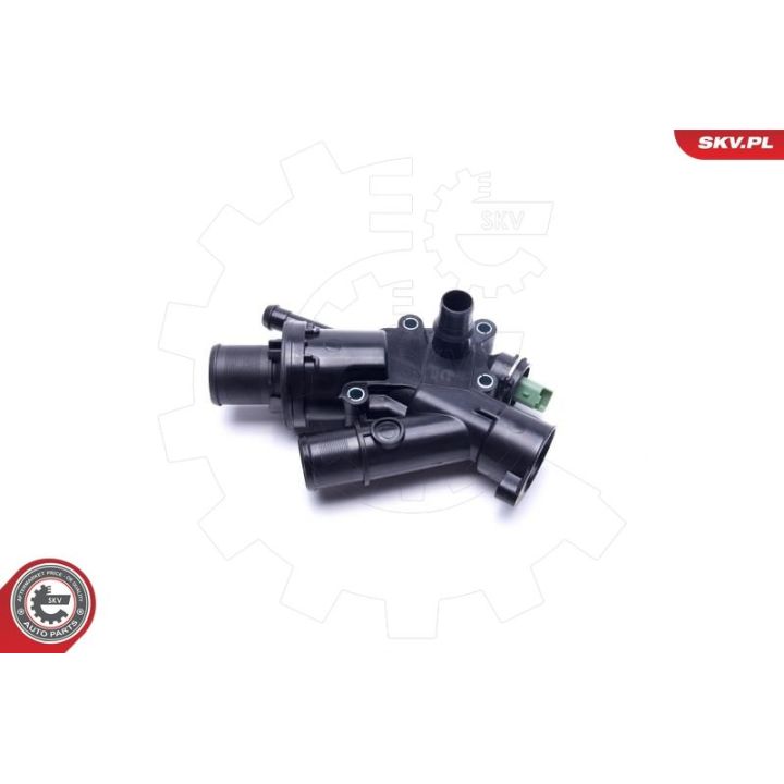 Termostatas, aušinimo skystis ESEN SKV 20SKV160