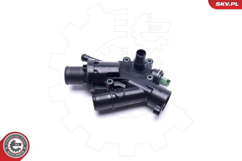 Termostatas, aušinimo skystis ESEN SKV 20SKV160