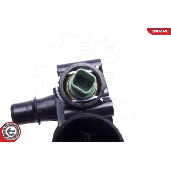 Termostatas, aušinimo skystis ESEN SKV 20SKV160