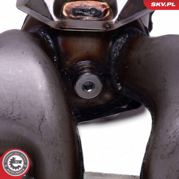 Katalizatoriaus keitiklis ESEN SKV 62SKV023