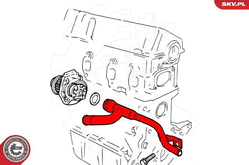 Aušinimo skysčio vamzdis ESEN SKV 43SKV770