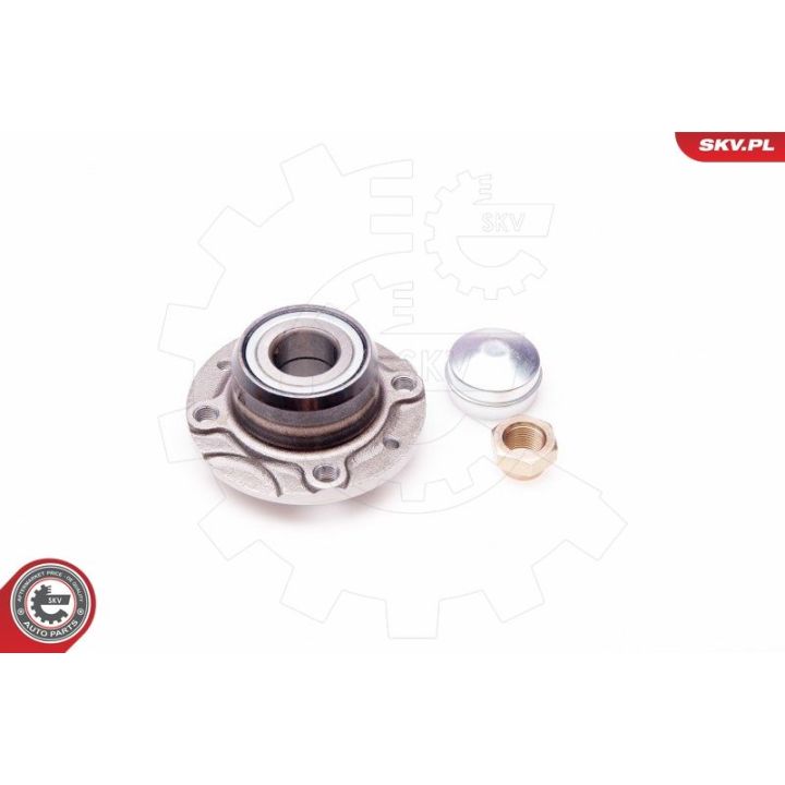 Rato guolio komplektas ESEN SKV 29SKV022