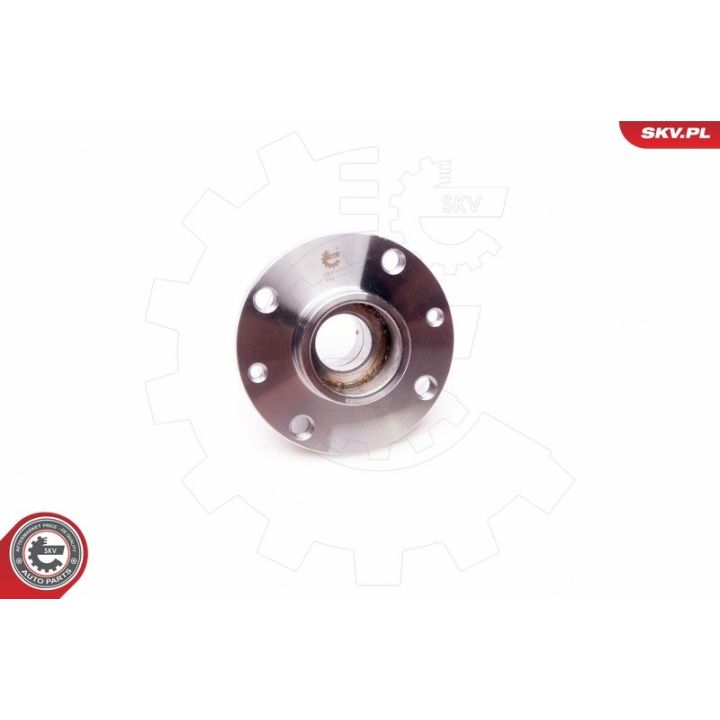 Rato guolio komplektas ESEN SKV 29SKV022