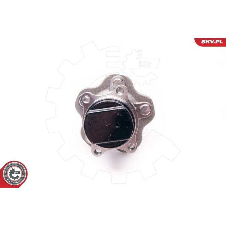 Rato guolio komplektas ESEN SKV 29SKV031